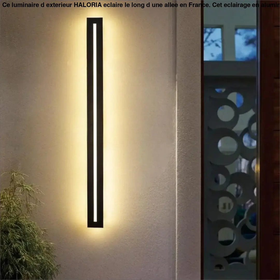Luminaire d’Extérieur LED Long Noir en Aluminium