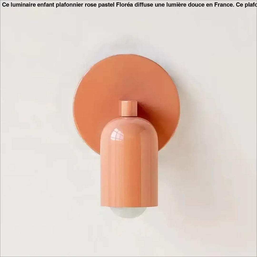 Applique murale coridor design minimaliste en terre cuite mate avec abat-jour cylindrique et rosace circulaire