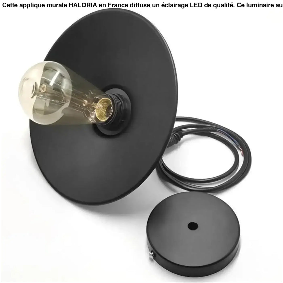 Applique murale industrielle noire mate haloria avec ampoule edison vintage idéale long d un couloir ou autour d un miroir