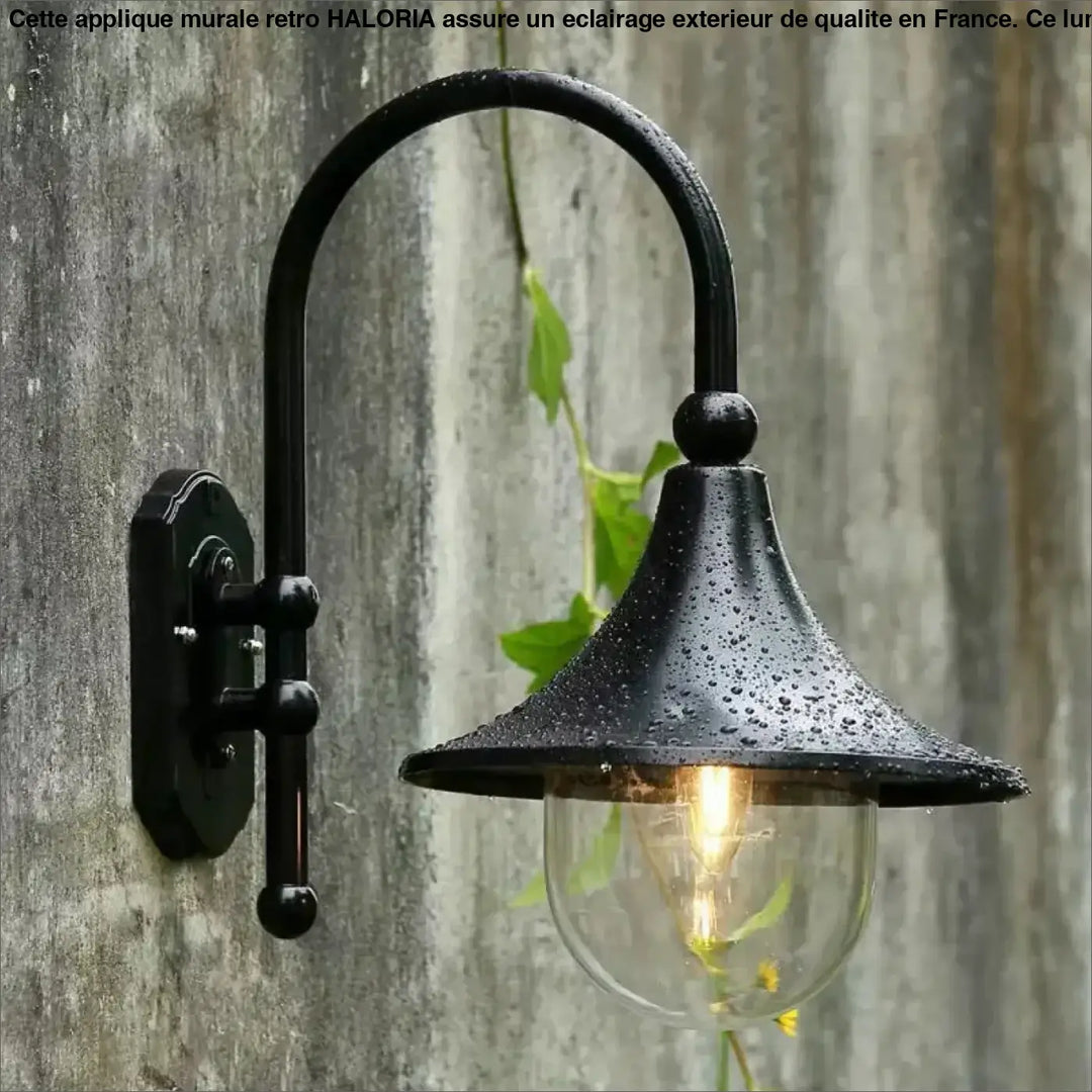 Luminaire Extérieur Applique Murale Rétro