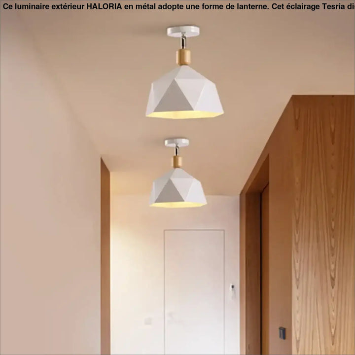 Luminaire plafonnier hexora avec design géométrique blanc mat et accents en bois pour un plafonnier design aux lignes modernes