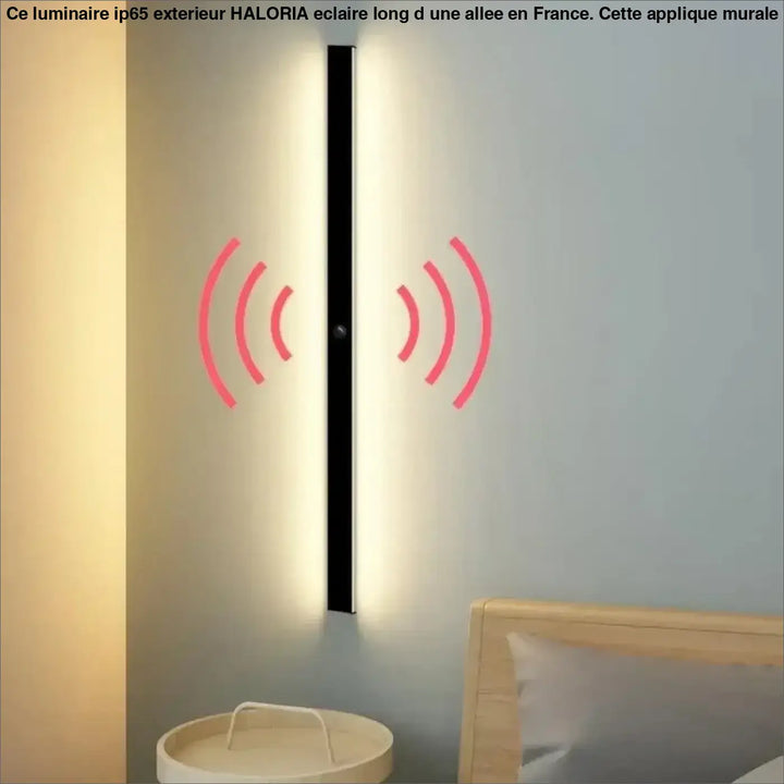 Luminaire Extérieur IP65 Détecteur De Mouvement Applique