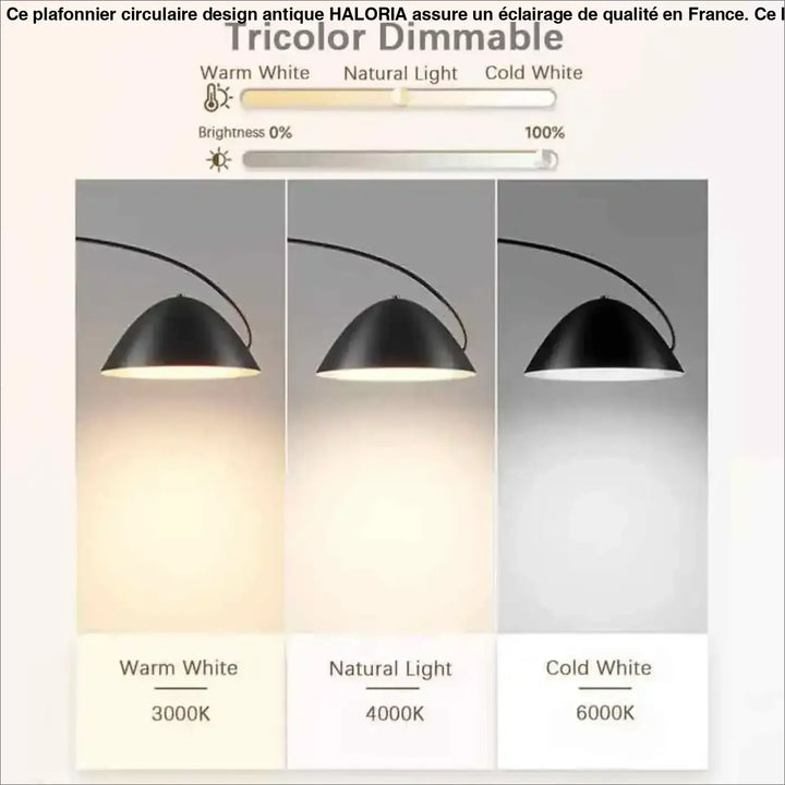 Lampadaire arc noir moderne avec abat-jour large élégant