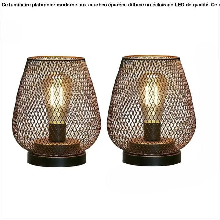 Paire de lampes de table en bronze avec abat-jour en maille et ampoules à filament, idéale comme décor features