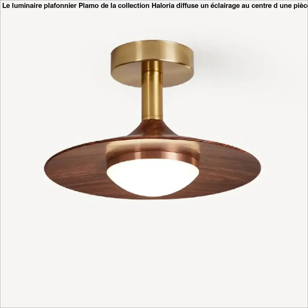 Plafonnier ambiance moderne haut de gamme marron élégant