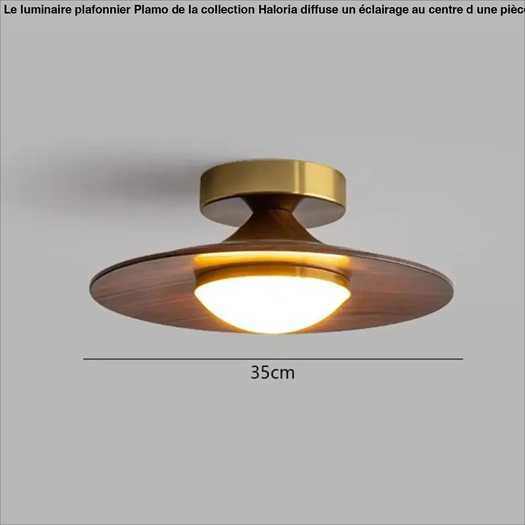 Plafonnier ambiance moderne haut de gamme marron élégant