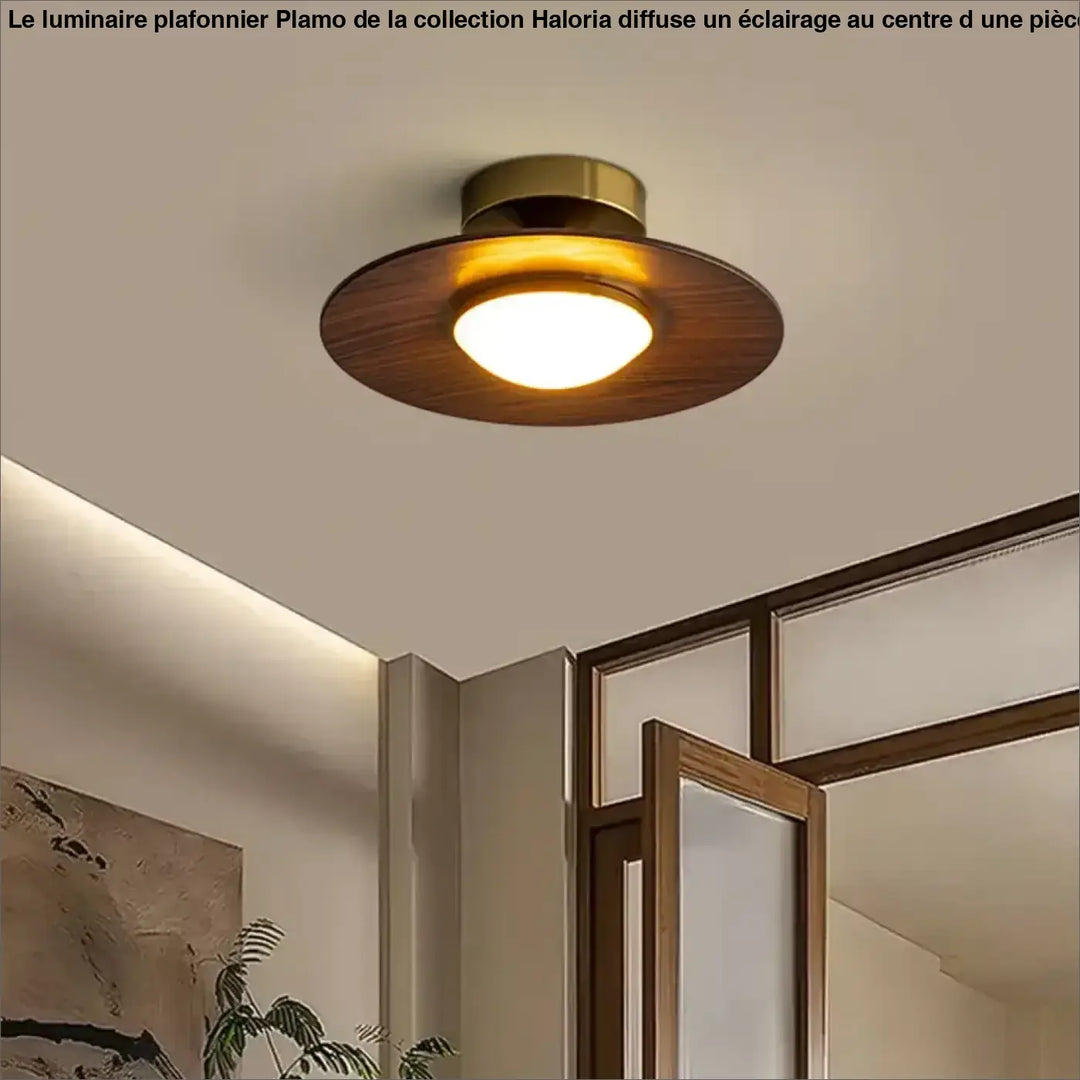 Plafonnier ambiance moderne haut de gamme marron élégant