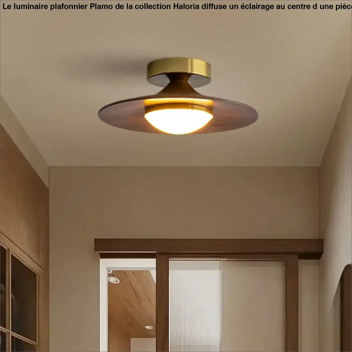 Plafonnier ambiance moderne haut de gamme marron élégant
