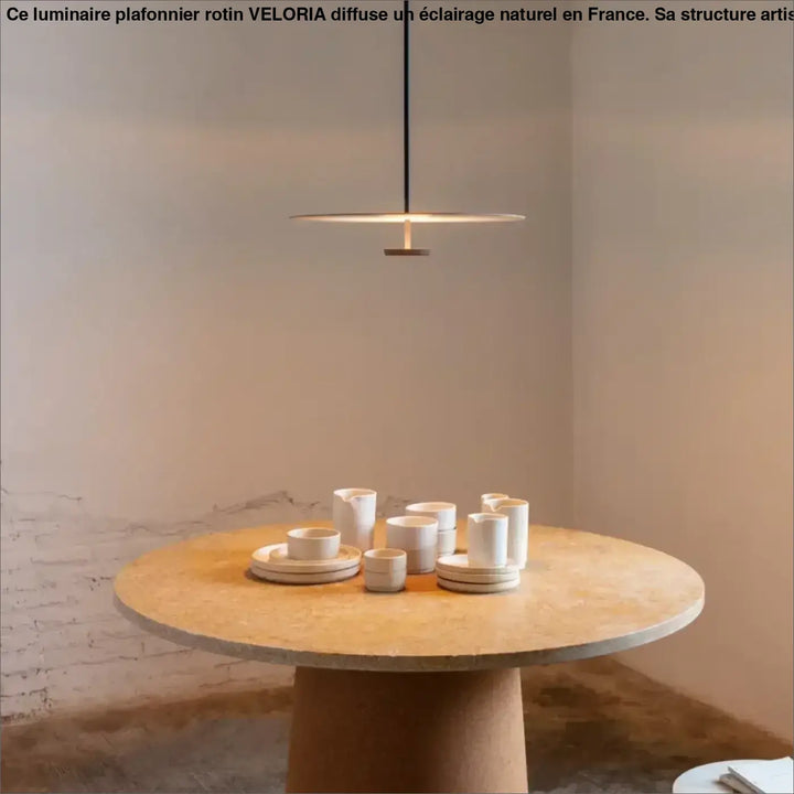 Suspension led minimaliste design disque moderne noir pureté