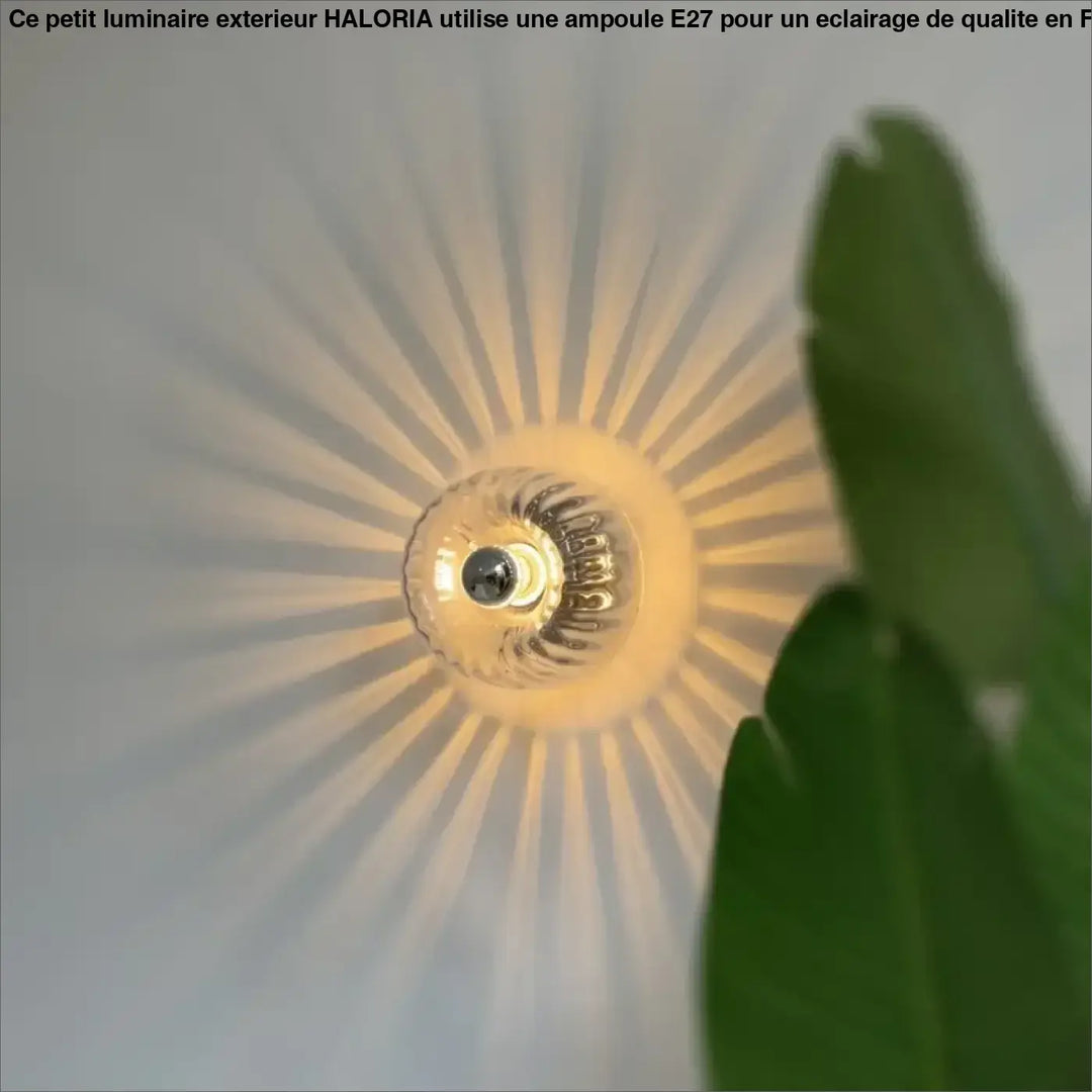 Petite Applique Murale En Rayon De Soleil Verre Doré Élégante