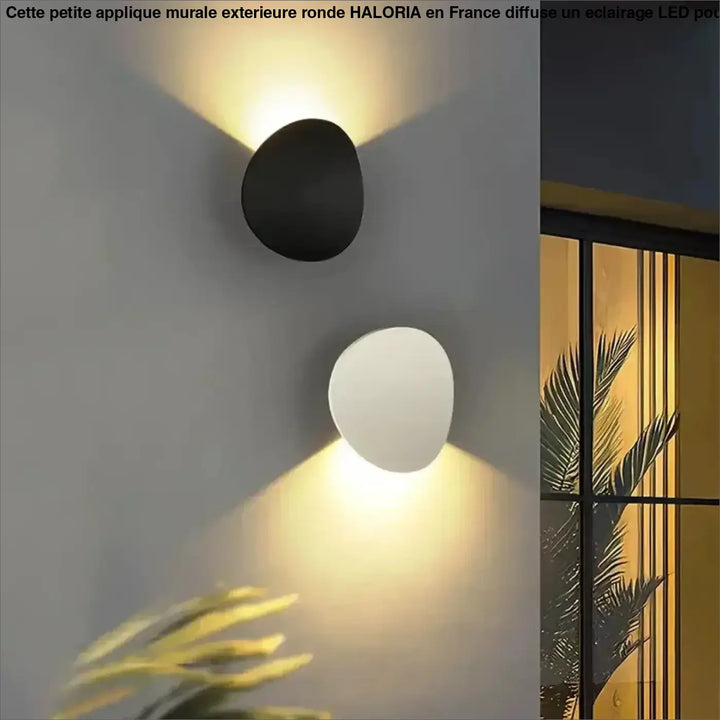 Petite Applique Murale Extérieure Ronde Style Organique
