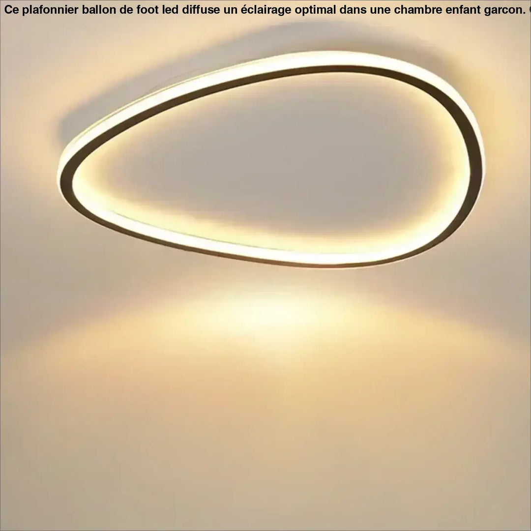Plafonnier LED à forme organique asymétrique, au style contemporain

