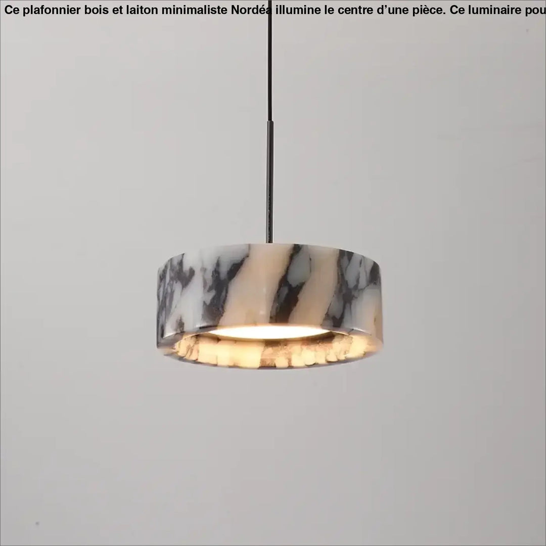 Suspension En Marbre Poli Pour Ambiance Chic Et Minérale