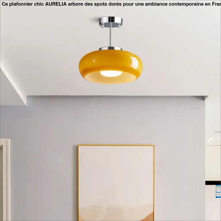 Retro ceiling light Bedroom Dining Room Antique Orange glass light France Style Medieval dining room Bauhaus yellow