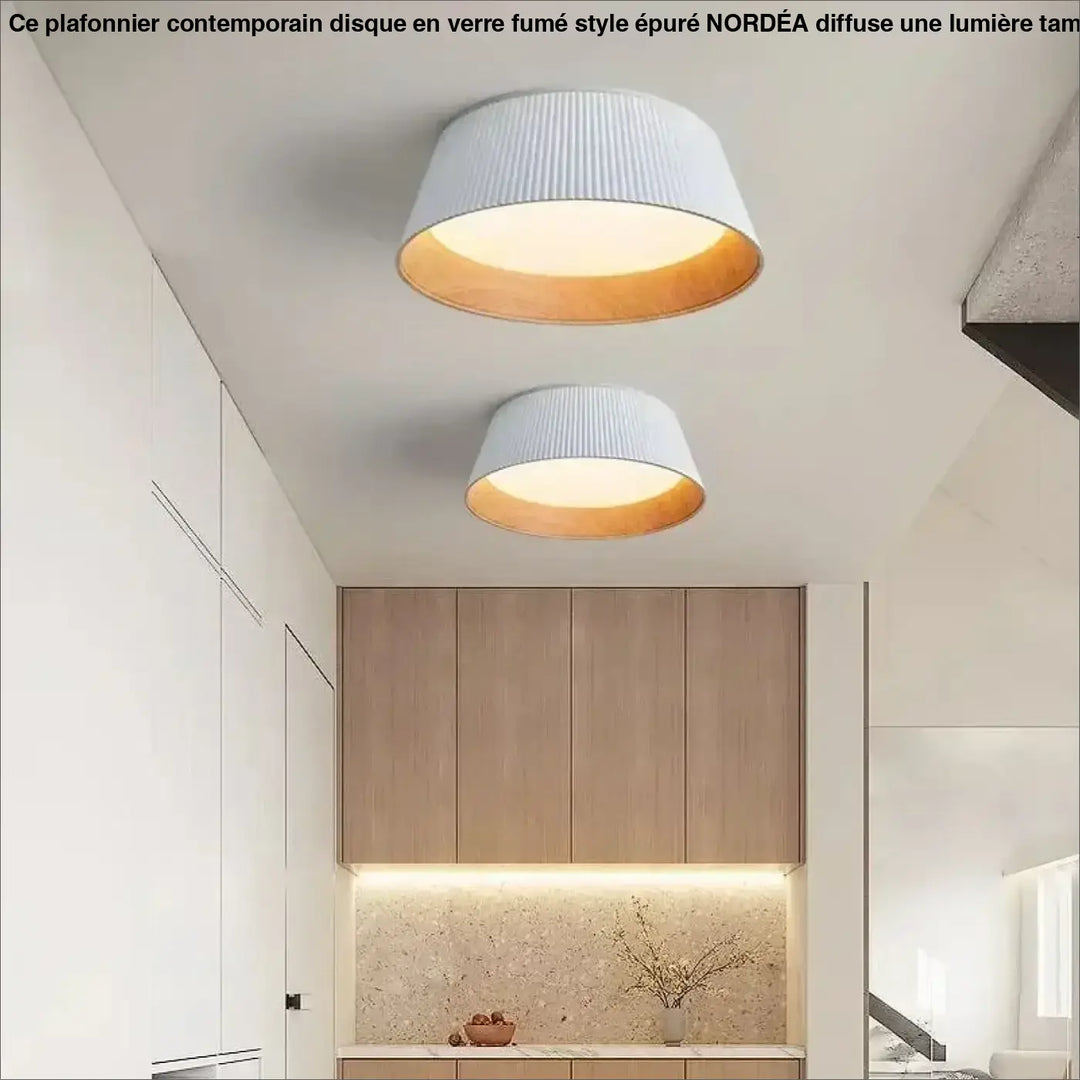 Plafonnier moderne en métal et abat-jour blanc ou noir