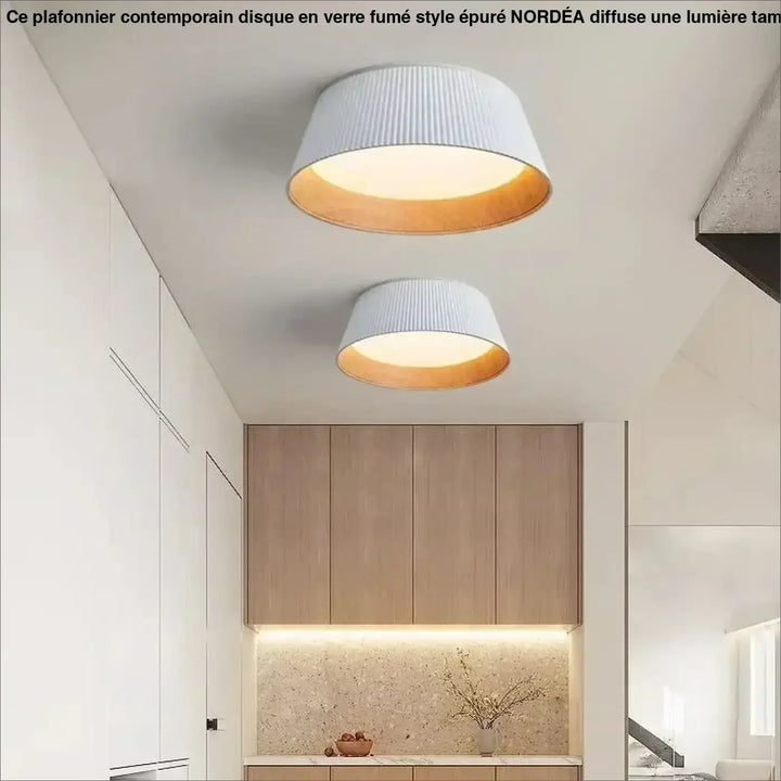 Plafonnier moderne en métal et abat-jour blanc ou noir