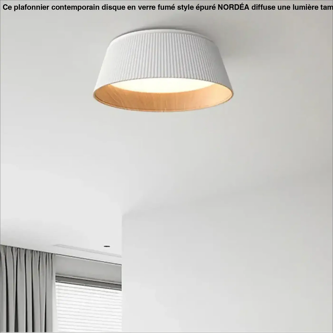 Plafonnier moderne en métal et abat-jour blanc ou noir