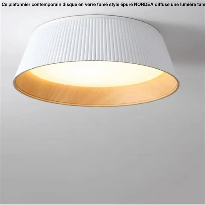 Plafonnier moderne en métal et abat-jour blanc ou noir
