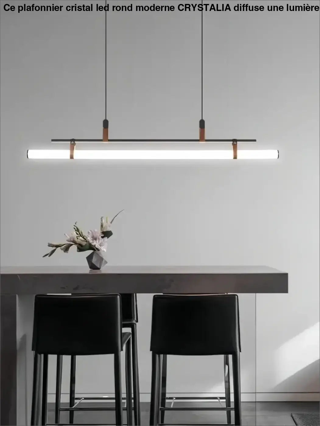 Suspension luminaire tube LED style industriel moderne

