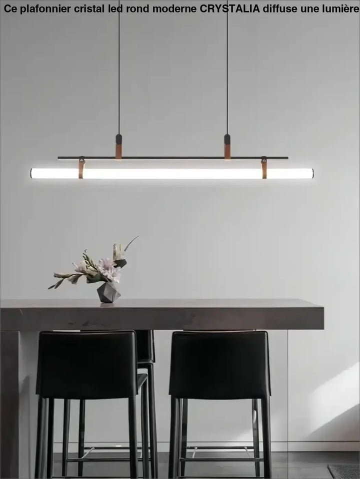 Suspension luminaire tube LED style industriel moderne

