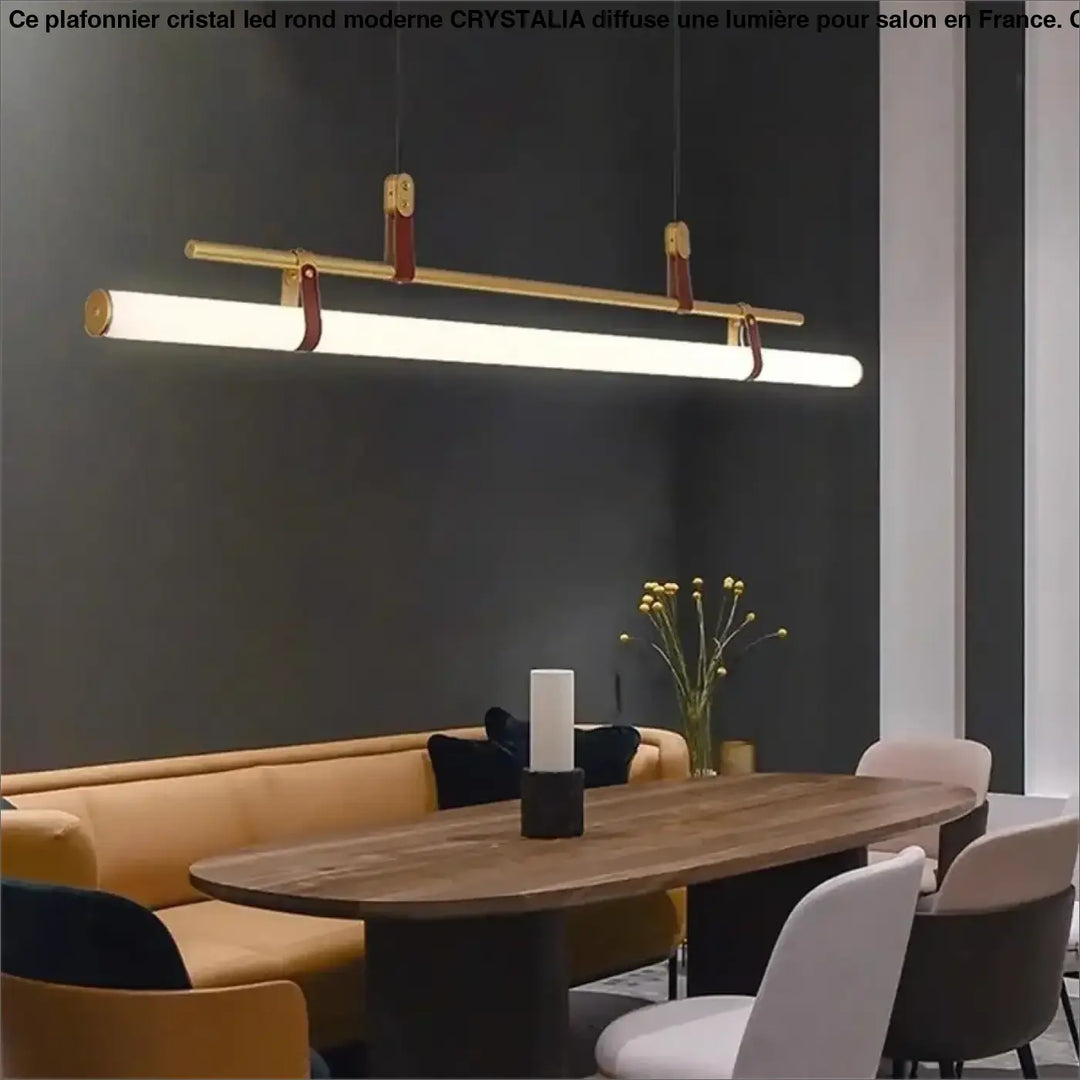 Suspension luminaire tube LED style industriel moderne

