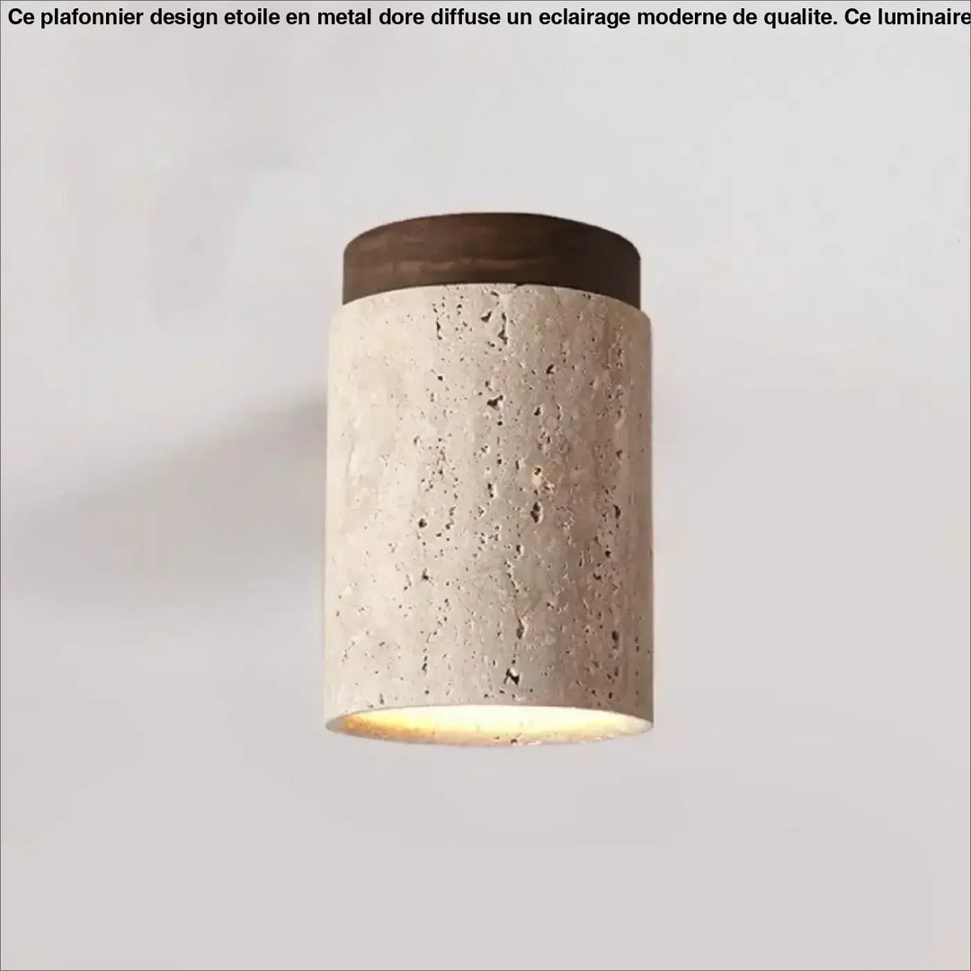 Luminaire plafonnier terris avec applique murale cylindrique rustique en béton beige texturé et bois foncé émettant une lumière chaude