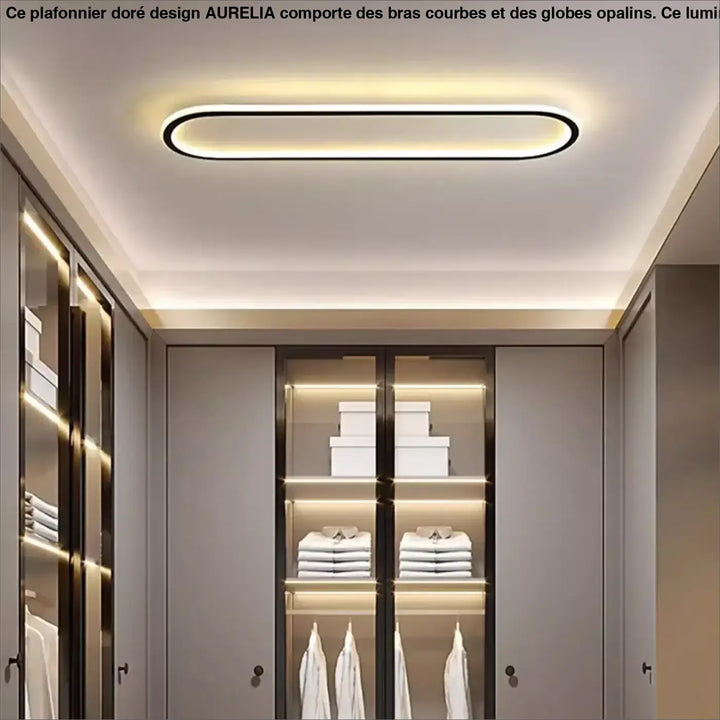 Plafonnier LED Ovale Minimaliste Pour Intérieur Moderne

