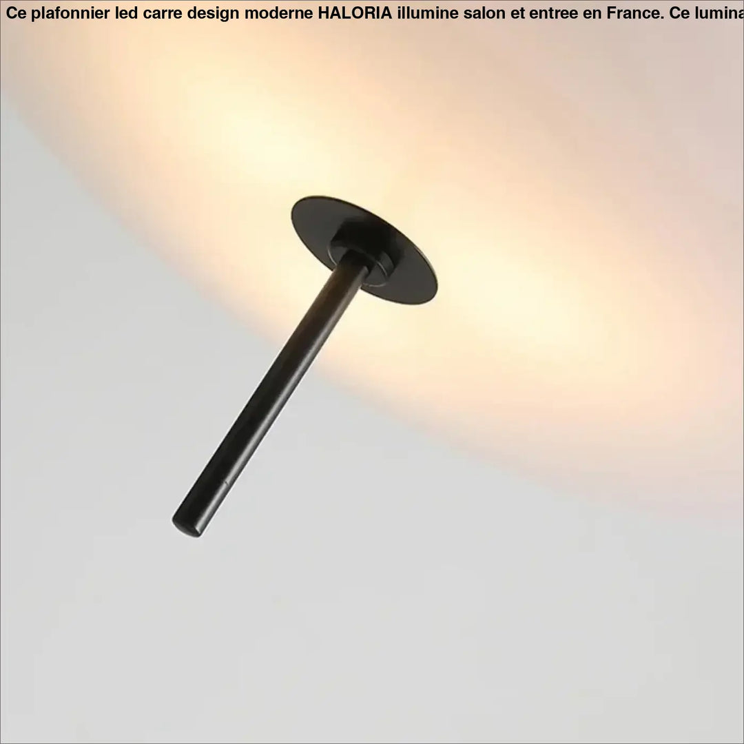Suspension Disque LED Moderne Minimaliste Noire Et Blanche

