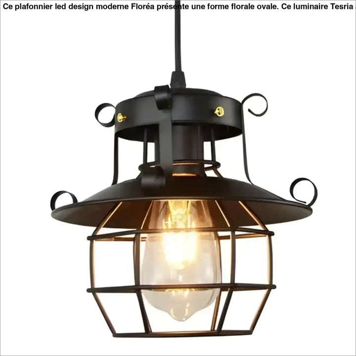 Suspension Industrielle Noire Style Lanterne Métal Et Verre

