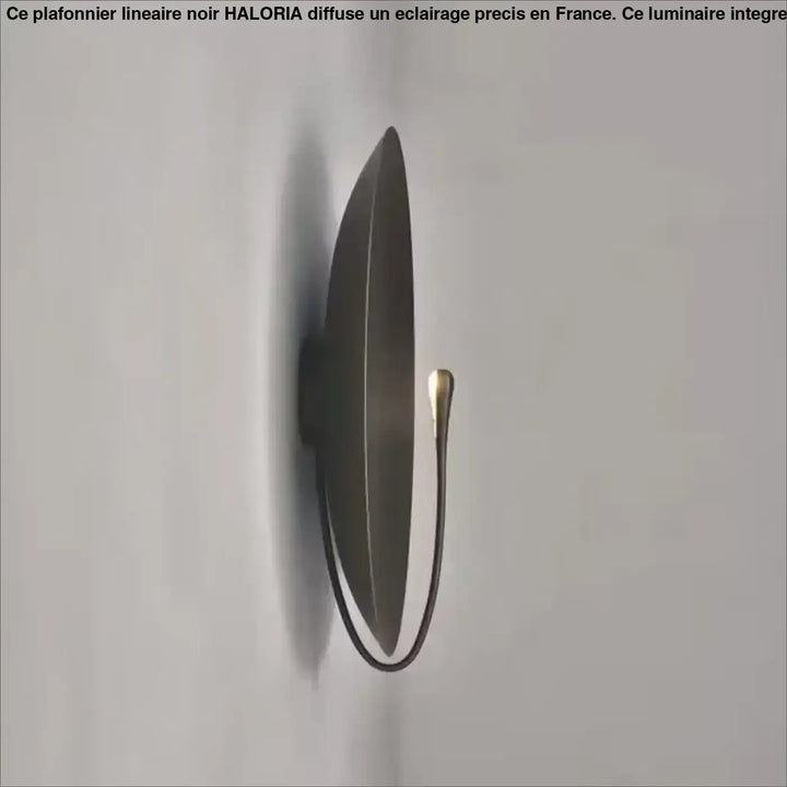 Applique Murale Artistique Cercle Coloré Et Laiton Fin

