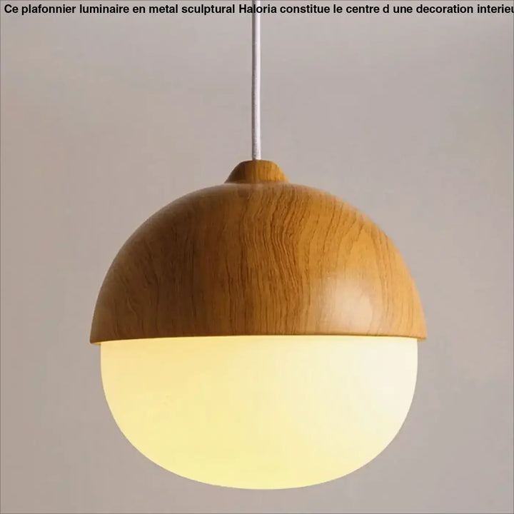 Suspension luminaire en bois avec lumière blanche au style naturel
