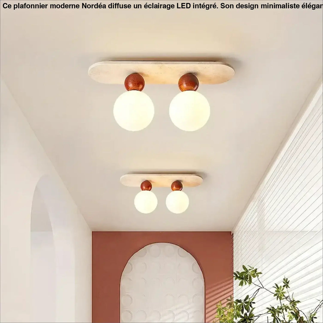 Luminaire plafonnier elliptia design minimaliste en bois poli avec deux ampoules sphériques chaudes pour salle à manger moderne