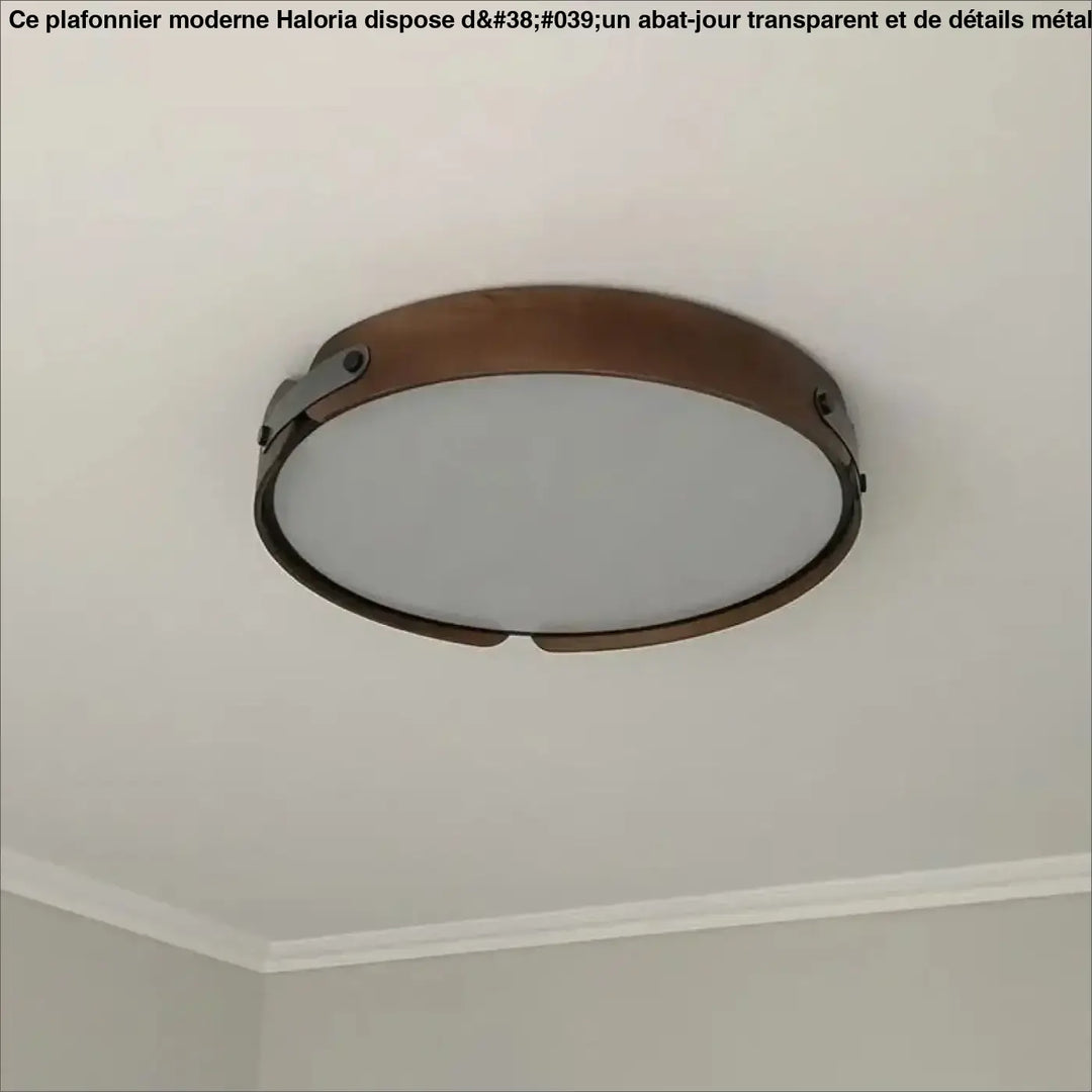 Luminaire plafonnier rond tanox avec cadre en métal bronze et panneau en verre dépoli aux détails inspirés