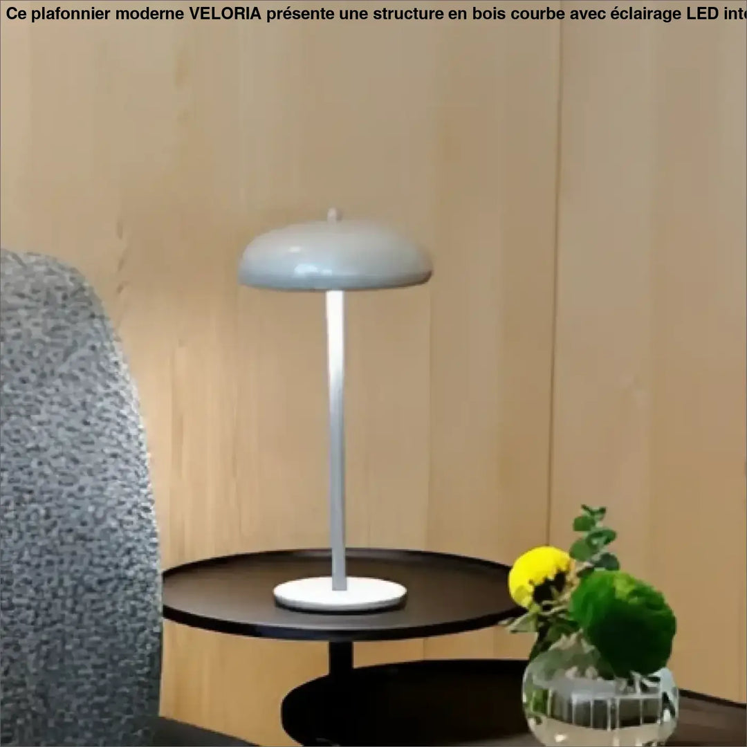 Lampe de table cmoon minimaliste avec abat-jour gris mat en dôme et base blanche cylindrique pour une ambiance agréable