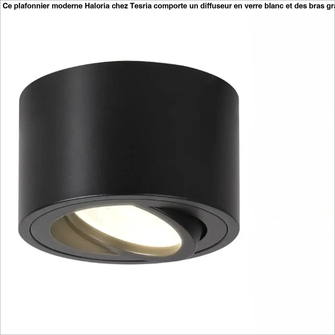Luminaire plafonnier trigo noir cylindre mat avec spot led ajustable et saillie orientable pour éclairage led ajustable