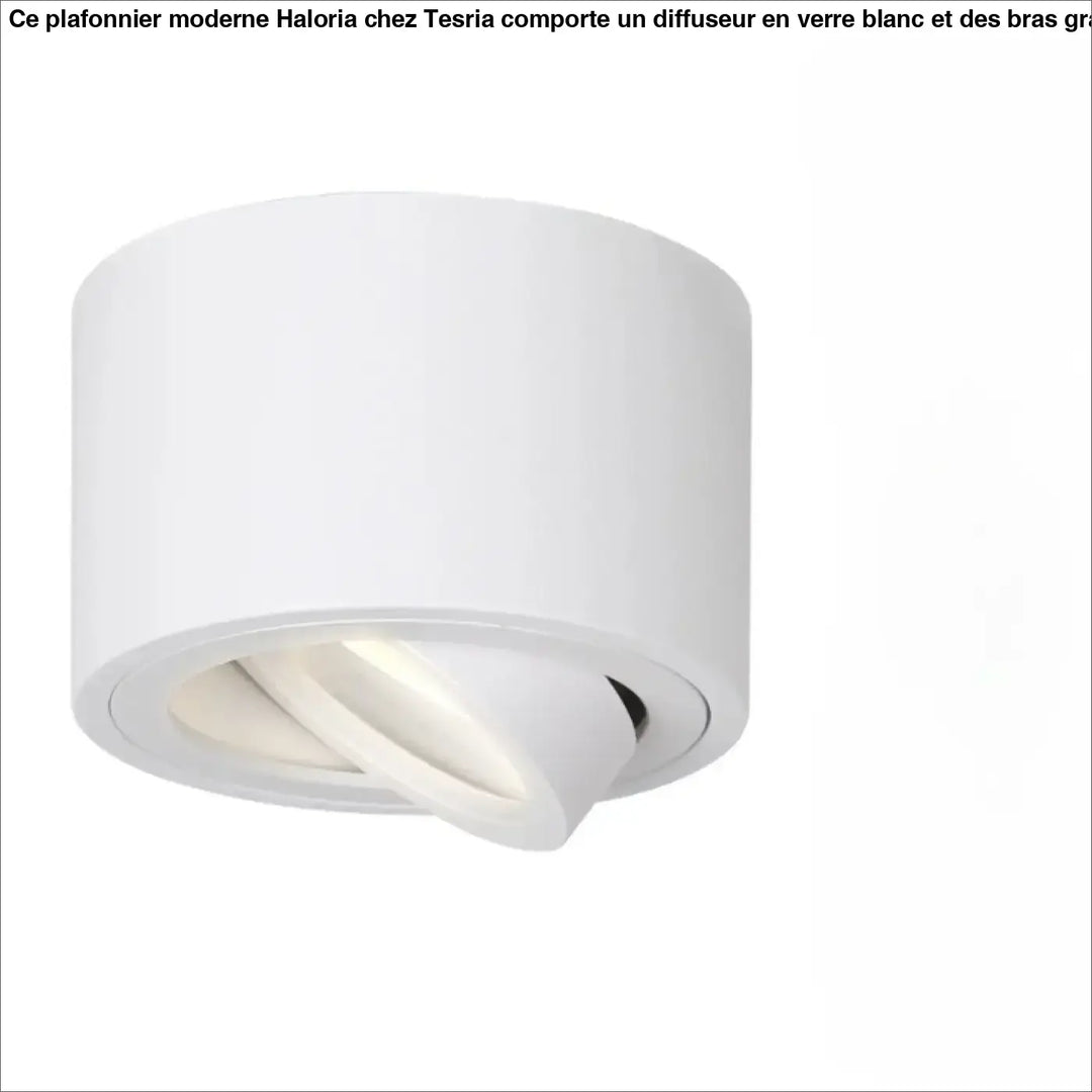 Luminaire plafonnier trigo blanc avec éclairage led ajustable et saillie orientable design moderne et cylindrique