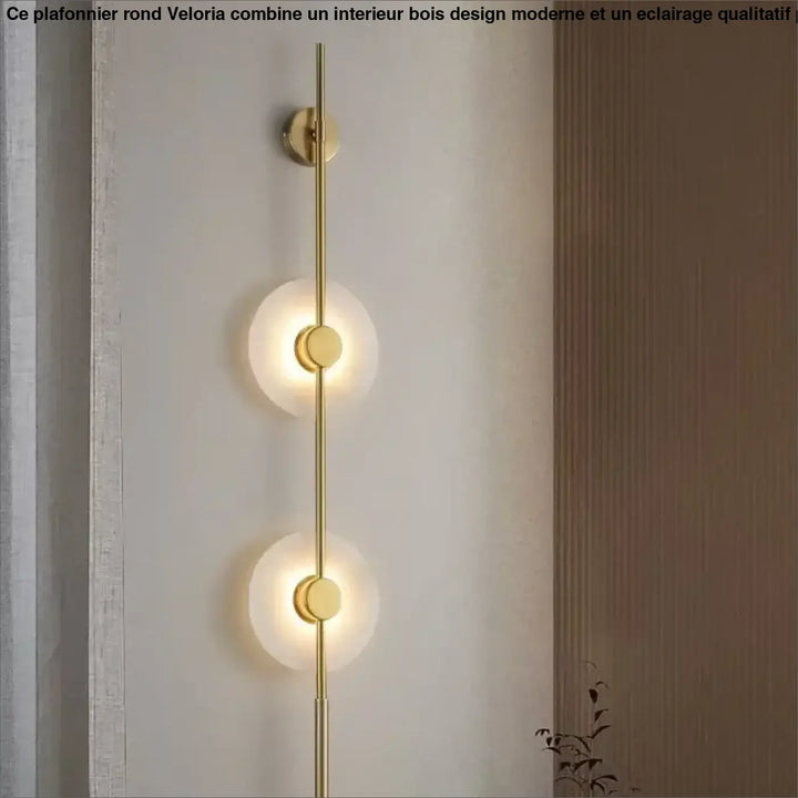 Applique design contemporain à cercles lumineux élégant