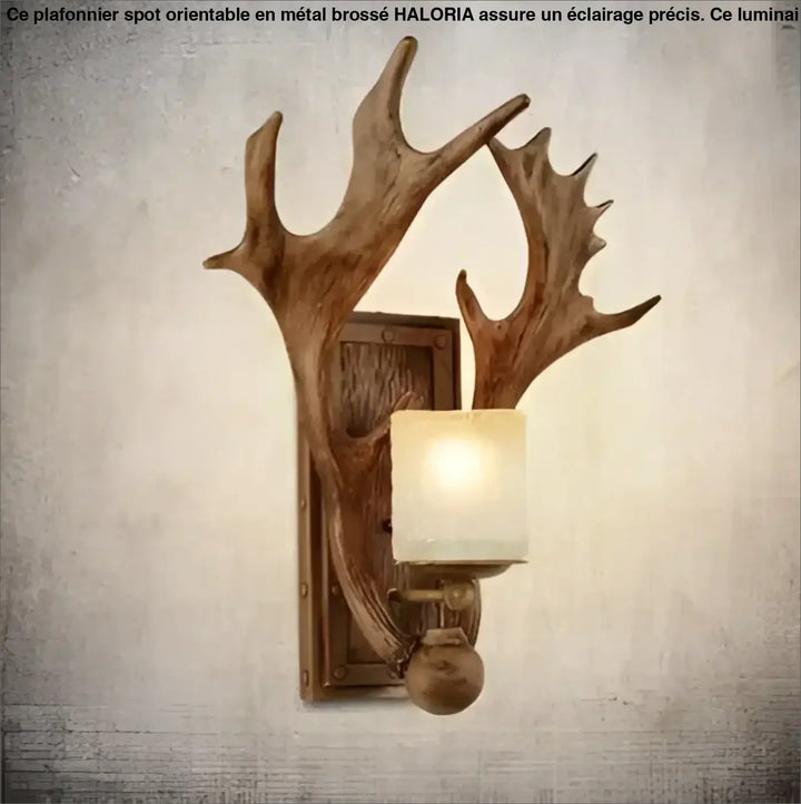 Applique Murale Rustique Avec Bois De Cerf Et Verre Givré