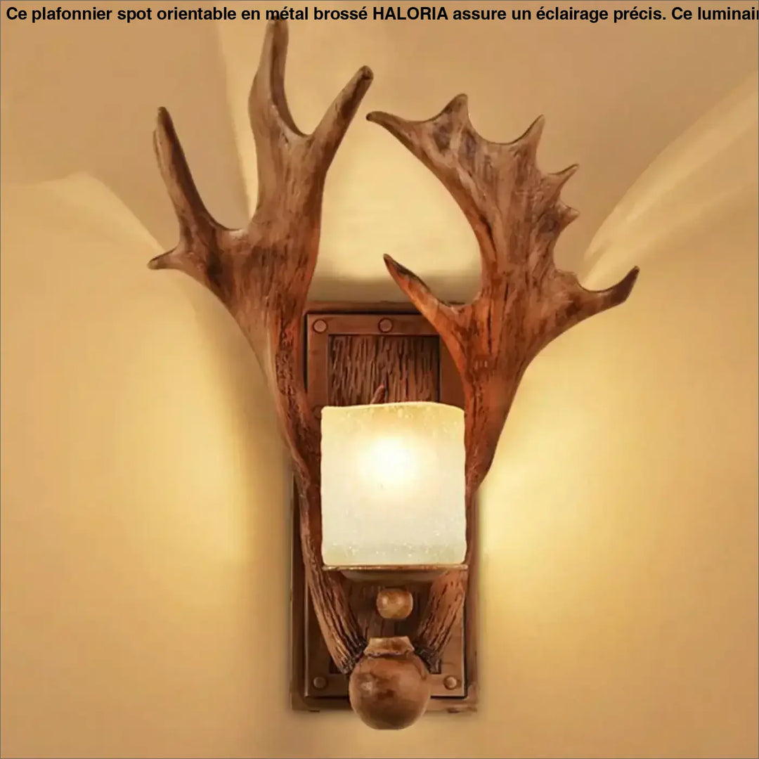 Applique Murale Rustique Avec Bois De Cerf Et Verre Givré