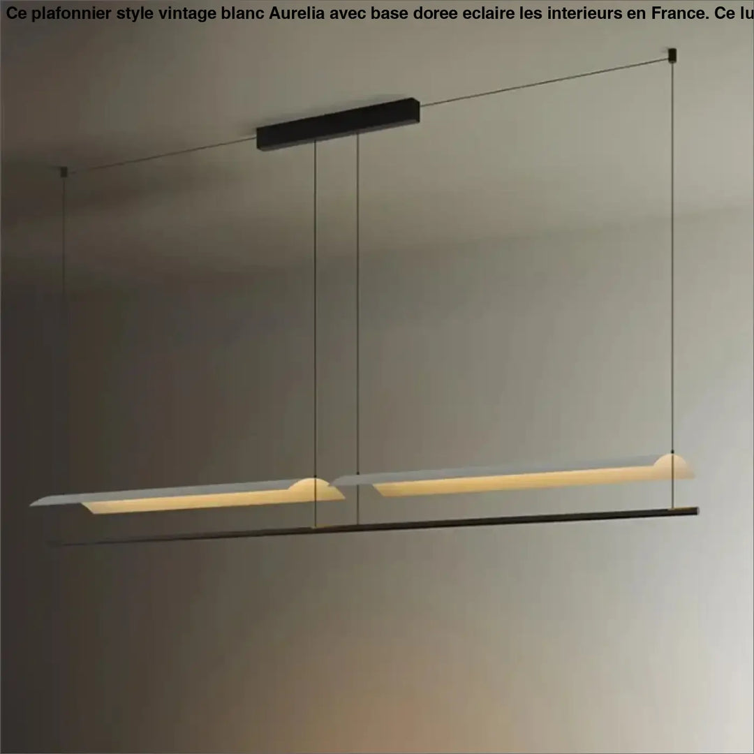 Suspension contemporaine minimaliste noir style chic