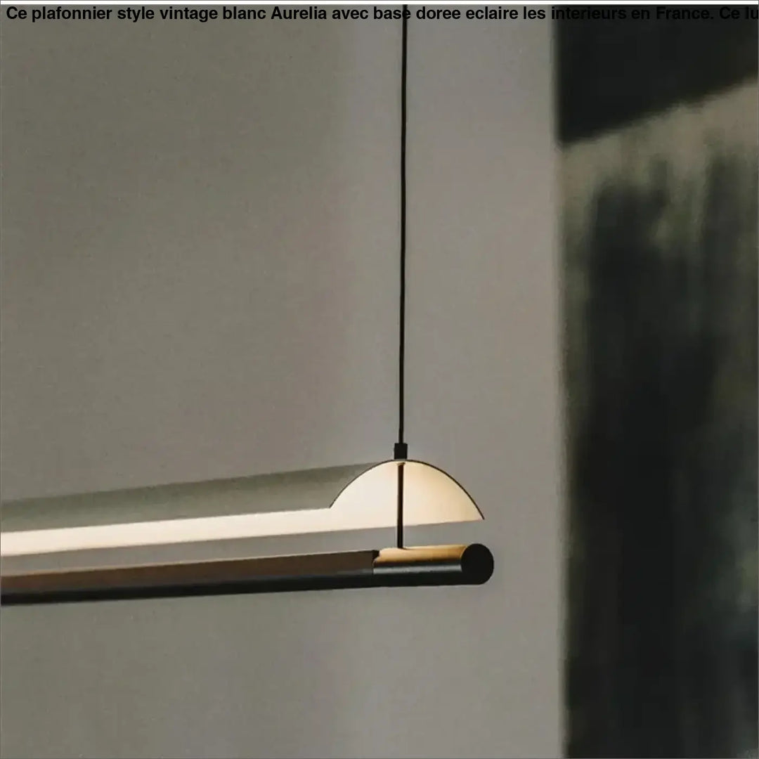 Suspension contemporaine minimaliste noir style chic