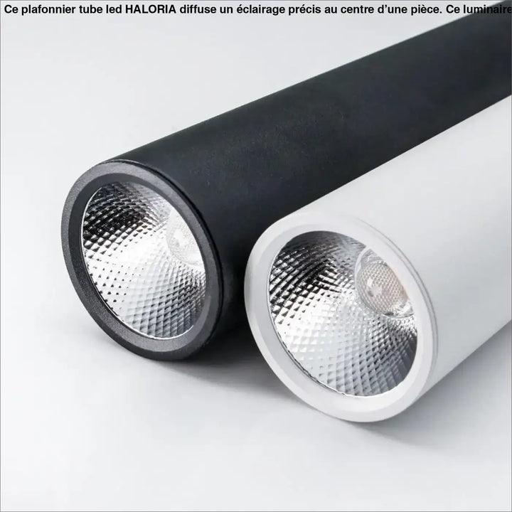 Deux plafonniers tube led cylindriques élégants avec finitions matte noire et blanche pour éclairage moderne