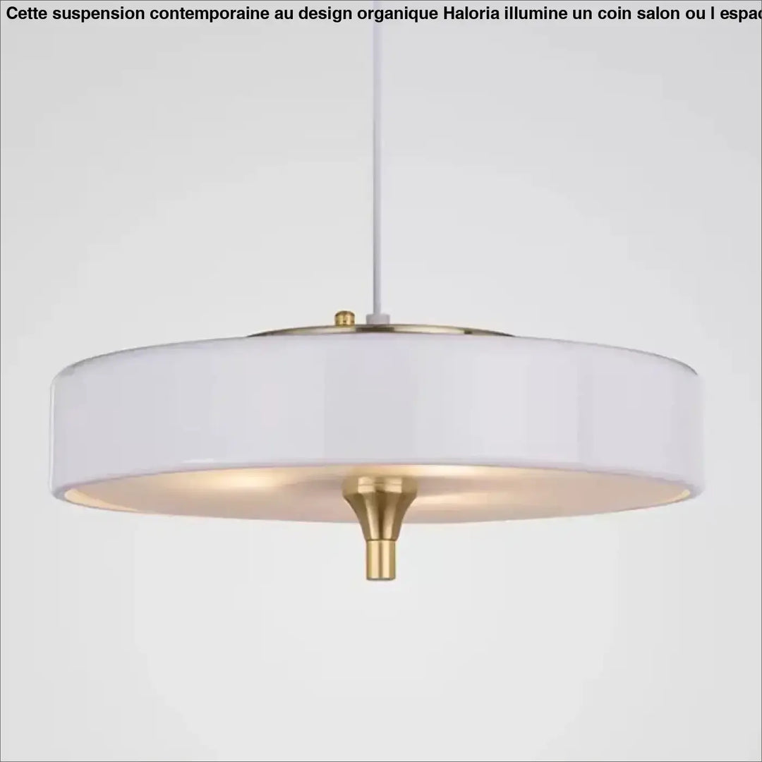 Suspension plate design avec détails dorés élégants