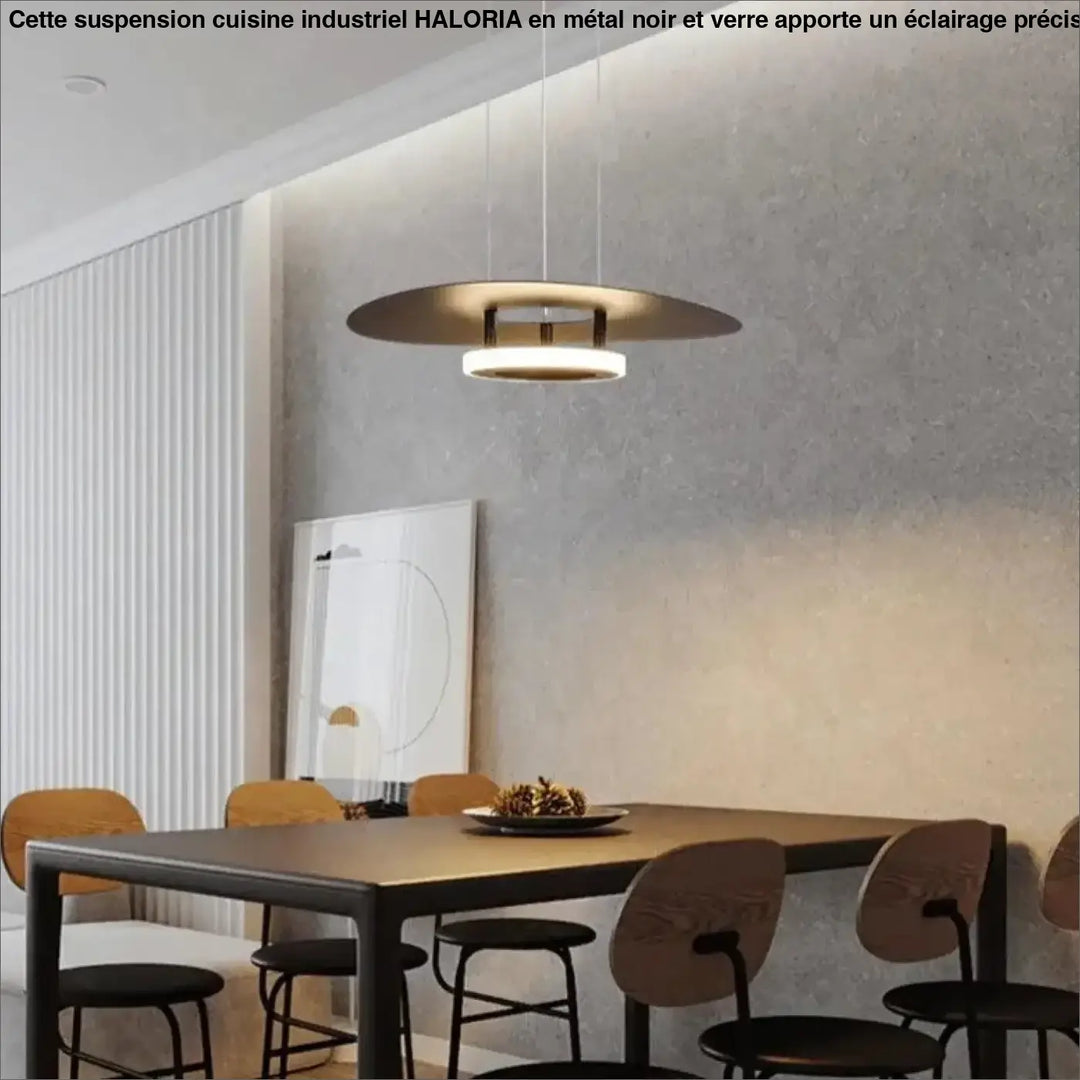 Suspension Cuisine Industriel Double Disque