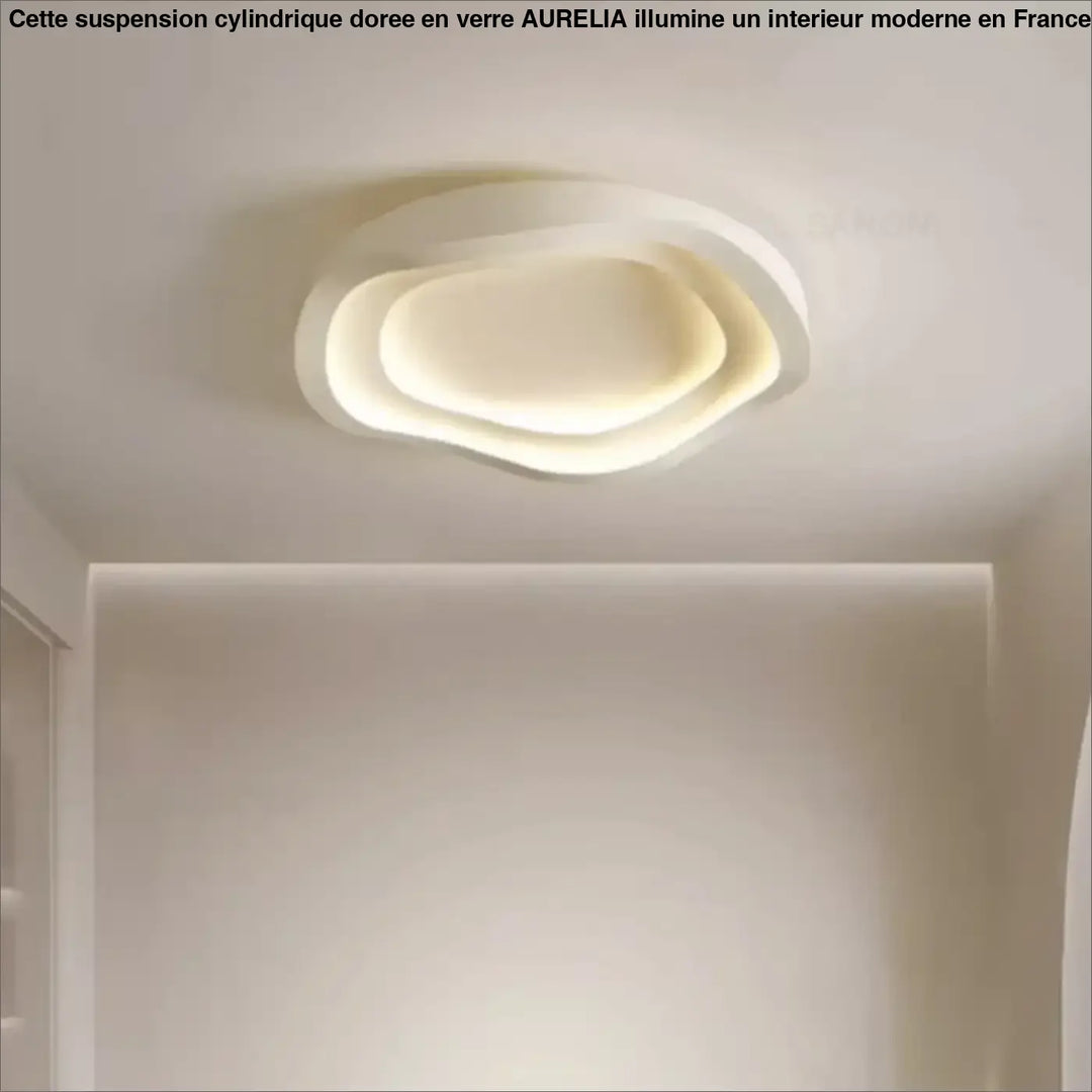 Plafonnier Contemporain Courbes Naturelles Et LED Intégré