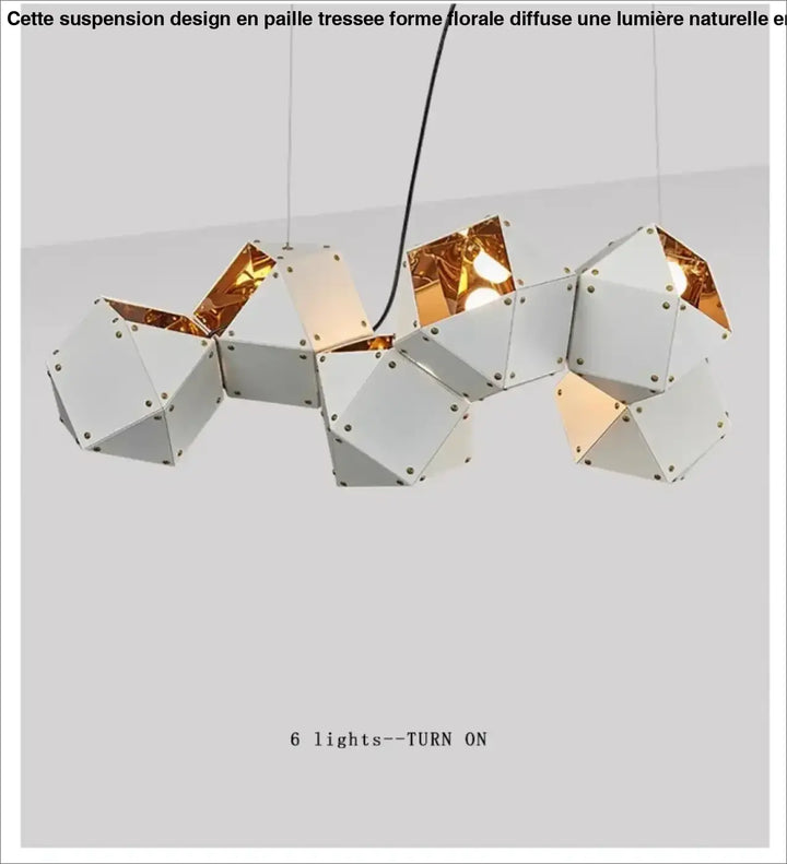 Suspension luminaire géométrique moderne ajustable chic