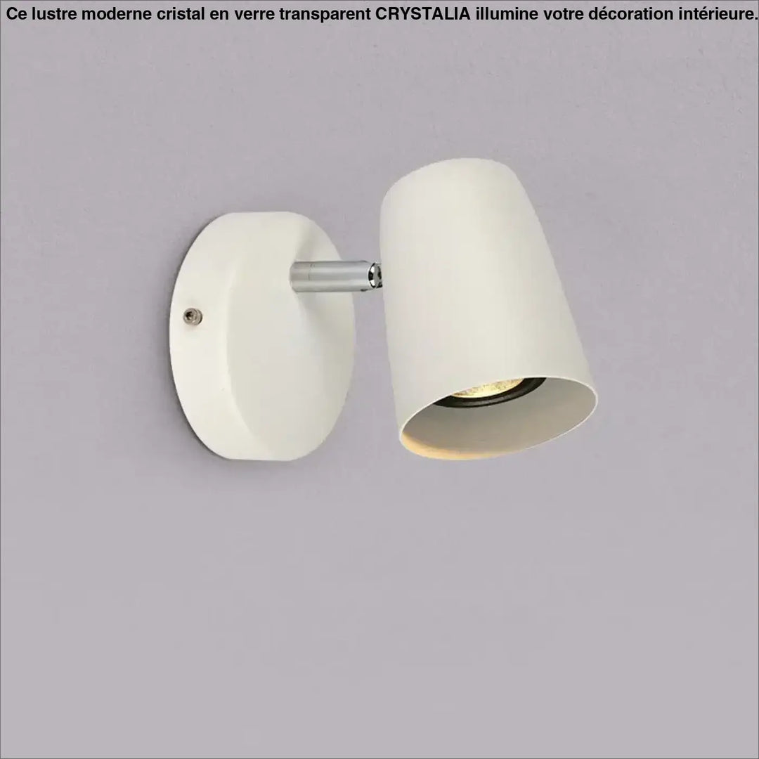 Applique Murale Design Orientable Cylindre Élégant