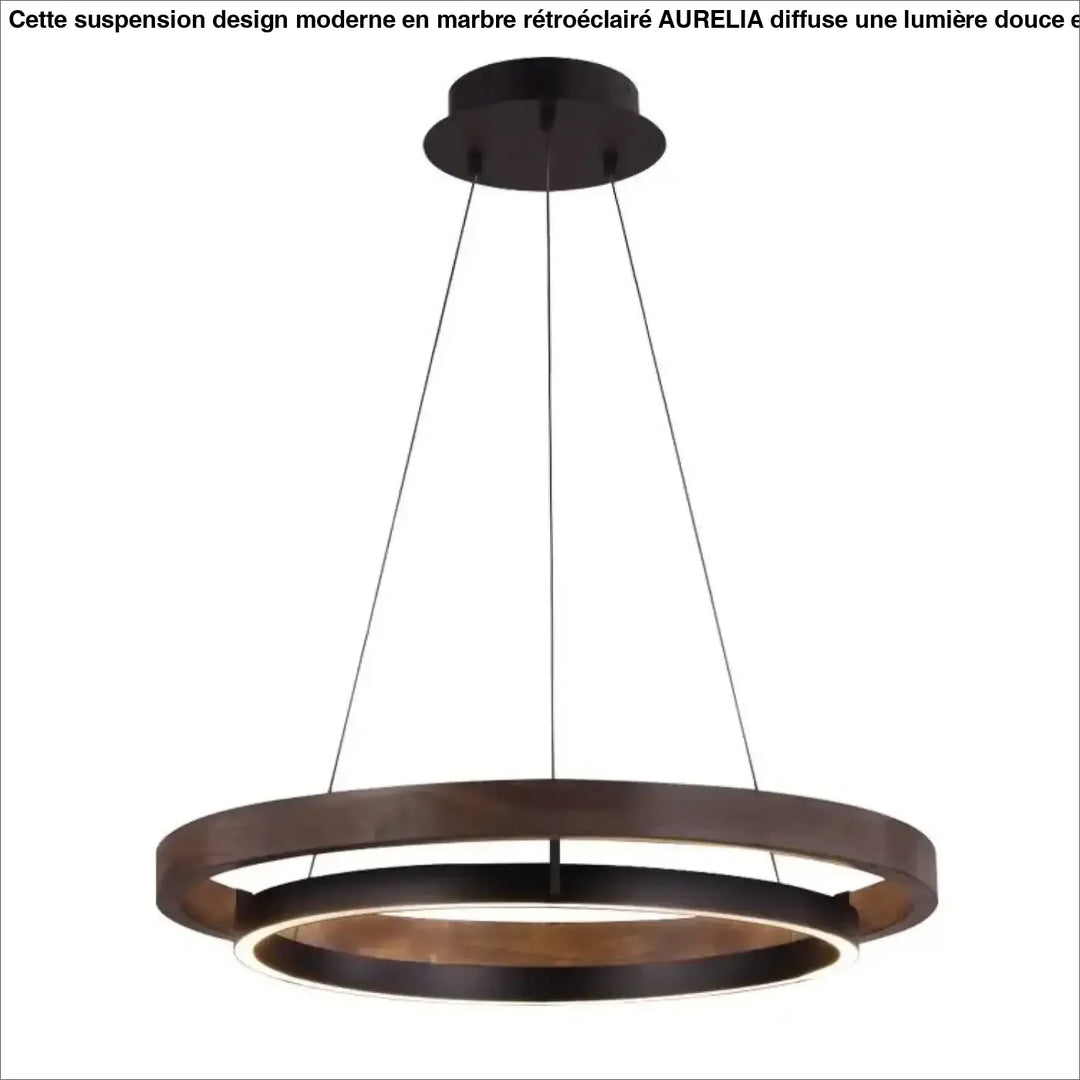 Suspension design moderne led à double anneaux