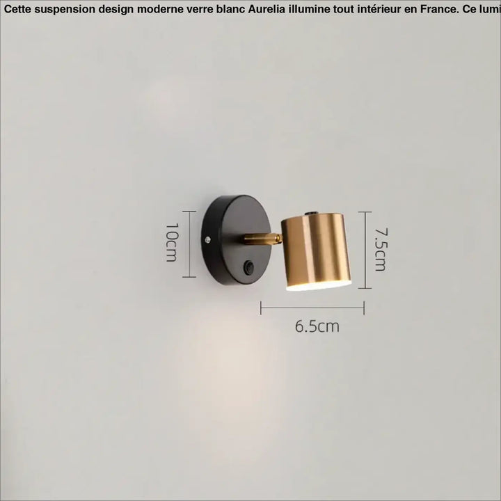 Applique Murale Cylindre Orientable Design Noir Et Doré