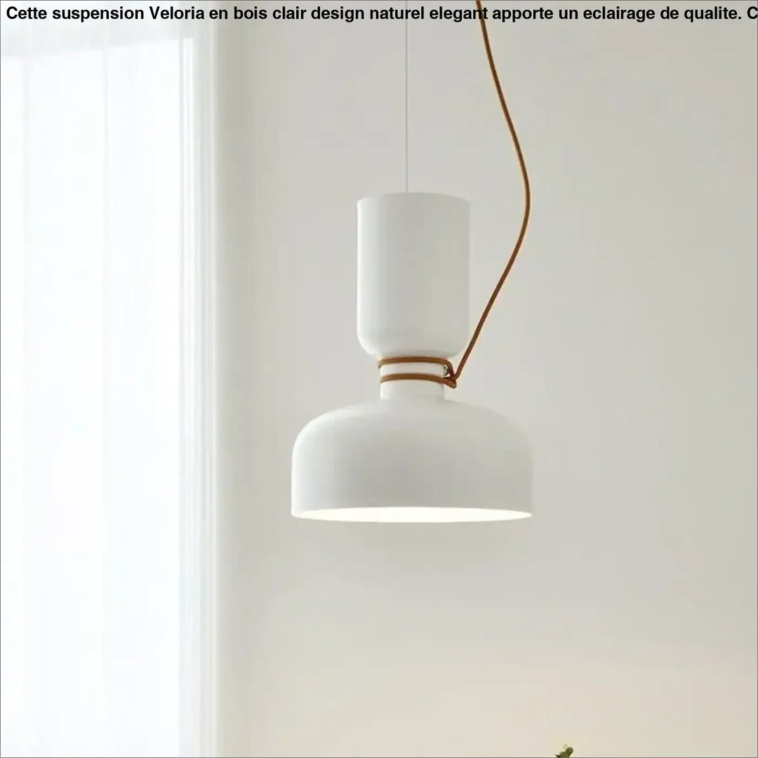 Suspension luminaire minimaliste en métal au style scandinave